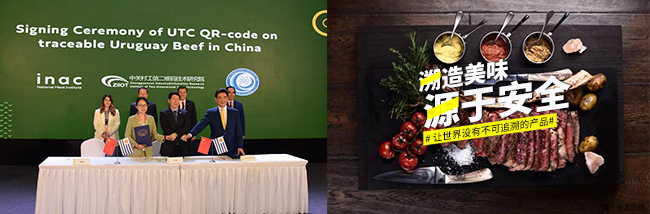 跨境追忆时期已来临